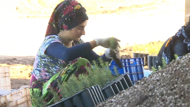 Eskişehir'den 'Geleceğe Nefes Ol' projesine büyük destek